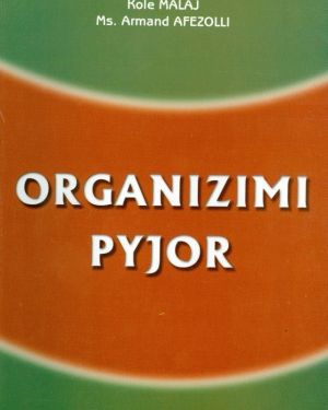 Organizimi Pyjor- Glantina Canco, Kole Malaj, Armand Afezolli